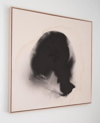 Release, 2026 Release, 2026